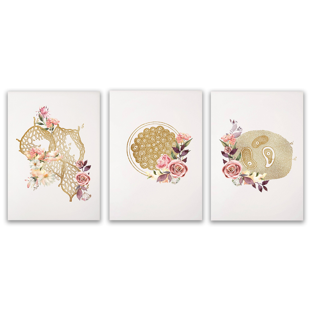 Microbiologist lab technician  - Medical Laboratory Technician 评论和价格